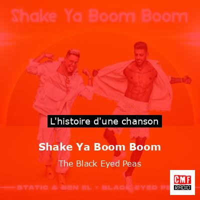 Histoire d'une chanson Shake Ya Boom Boom - The Black Eyed Peas