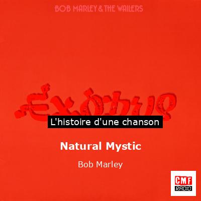 Histoire d'une chanson Natural Mystic - Bob Marley