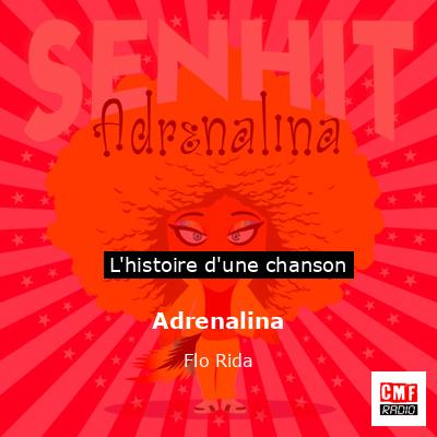 Histoire d'une chanson Adrenalina - Flo Rida