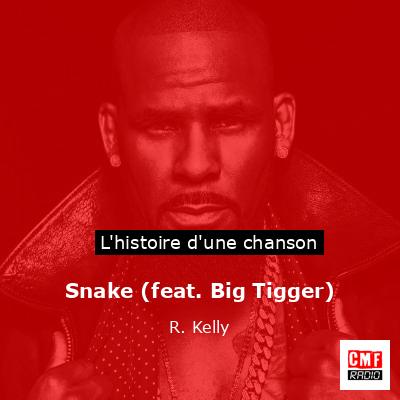 Histoire d'une chanson Snake (feat. Big Tigger) - R. Kelly