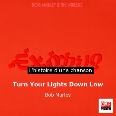 Histoire d'une chanson Turn Your Lights Down Low - Bob Marley