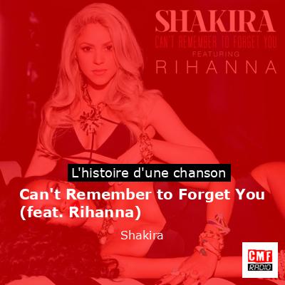 Histoire d'une chanson Can't Remember to Forget You (feat. Rihanna) - Shakira