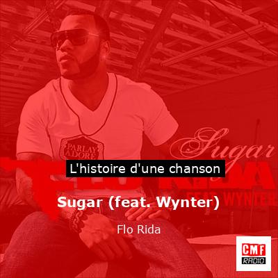 Sugar (feat. Wynter) – Flo Rida