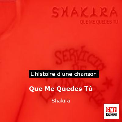 Histoire d'une chanson Que Me Quedes Tú - Shakira