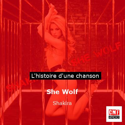Histoire d'une chanson She Wolf - Shakira