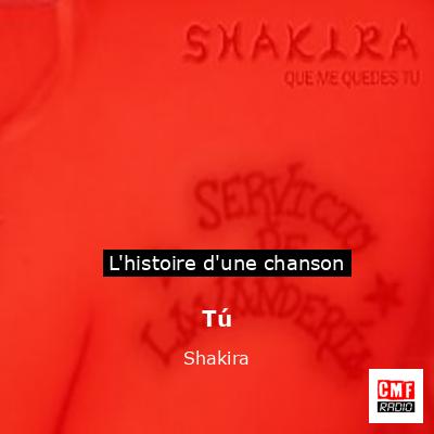 Histoire d'une chanson Tú - Shakira