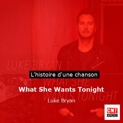 What She Wants Tonight – Luke Bryan