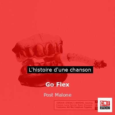 Go Flex – Post Malone