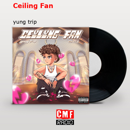 final cover Ceiling Fan yung trip