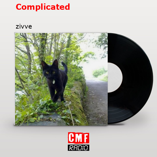 final cover Complicated zivve