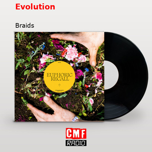 Evolution – Braids