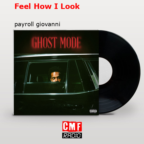 Feel How I Look – payroll giovanni