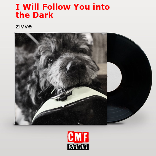I Will Follow You into the Dark – zivve