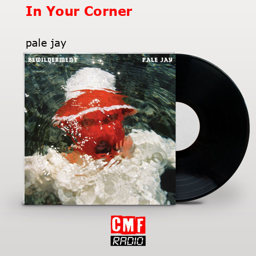 final cover In Your Corner pale jay