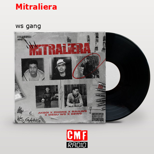 final cover Mitraliera ws gang