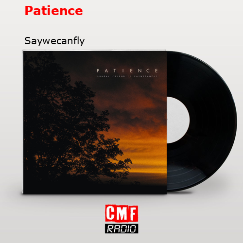 final cover Patience Saywecanfly