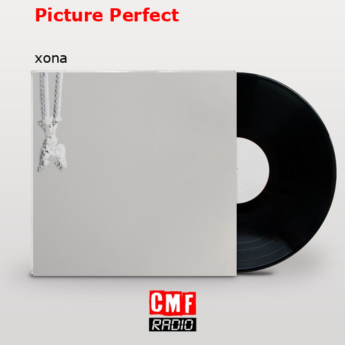 Picture Perfect – xona