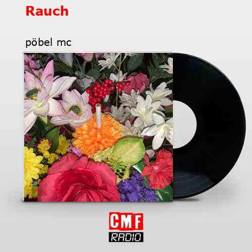 final cover Rauch pobel mc