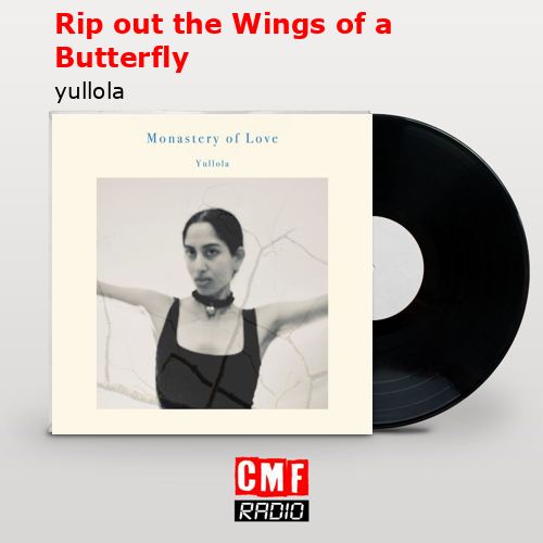 final cover Rip out the Wings of a Butterfly yullola