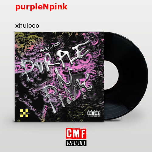 final cover purpleNpink xhulooo