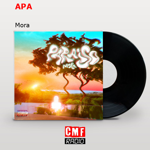 final cover APA Mora