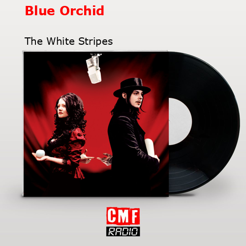 final cover Blue Orchid The White Stripes