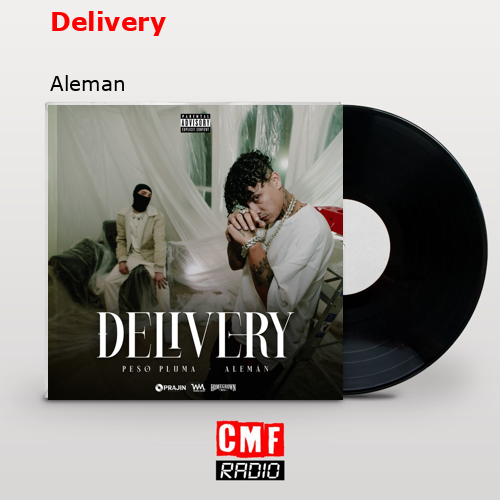 final cover Delivery Aleman