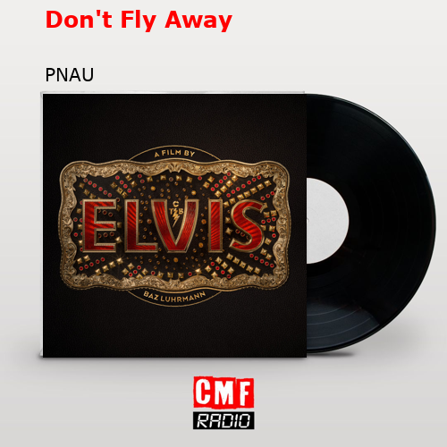 final cover Dont Fly Away PNAU