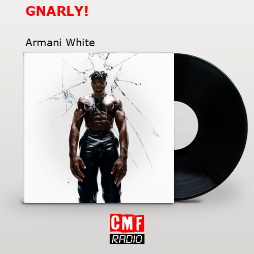 final cover GNARLY Armani White