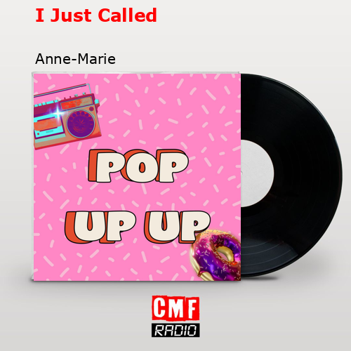 final cover I Just Called Anne Marie