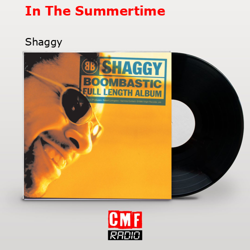 final cover In The Summertime Shaggy