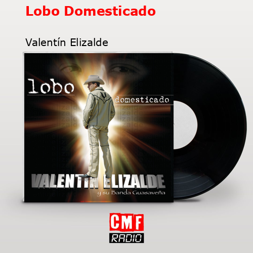 final cover Lobo Domesticado Valentin Elizalde