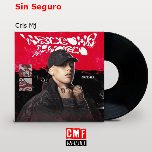final cover Sin Seguro Cris Mj