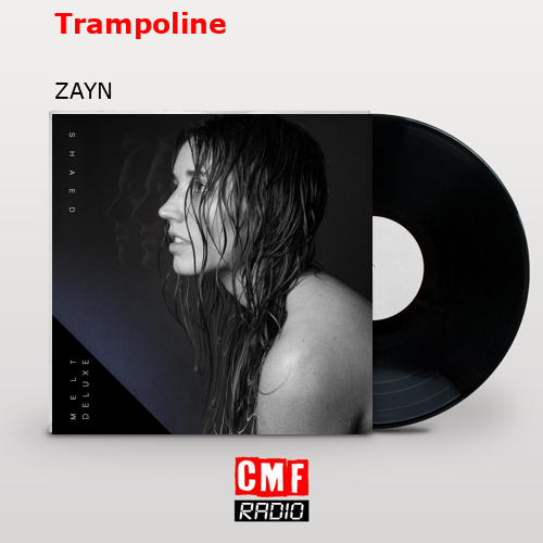 final cover Trampoline ZAYN