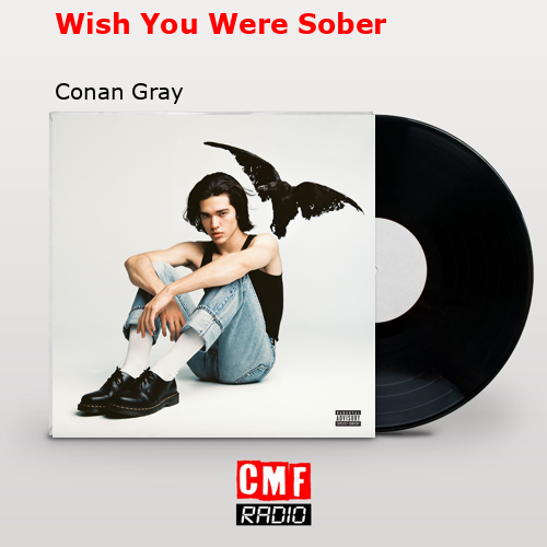 Wish You Were Sober – Conan Gray